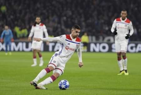 了显著的经 了显著的经